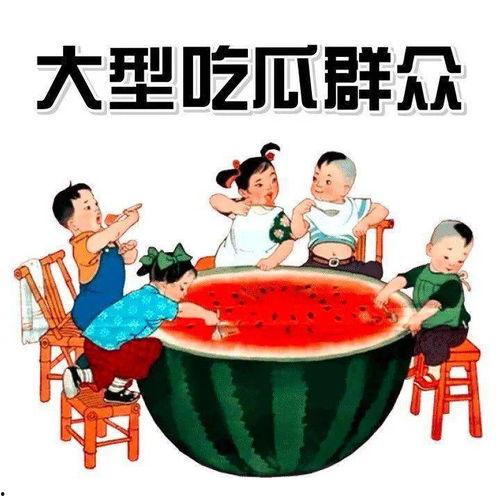 瓜瓜吃瓜主题曲